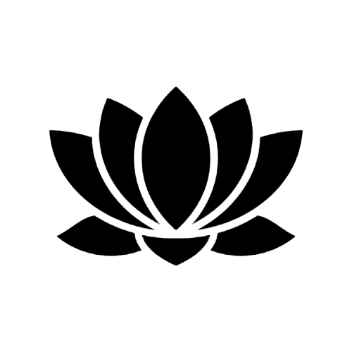 Holistic Approach Icon